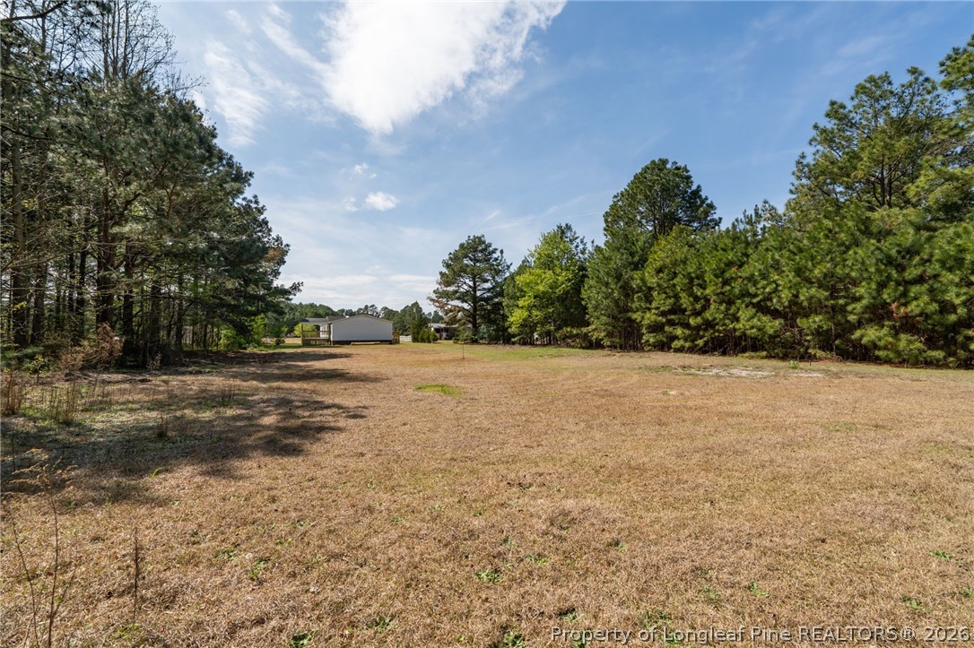 515 Mt Zion Road Red Springs, NC 28377 - Photo 45 of 50 a view of yard with green space