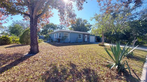 a view of a backyard