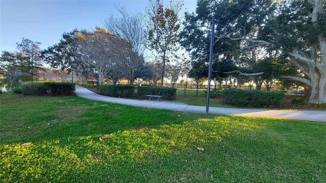 a view of a back yard of the house