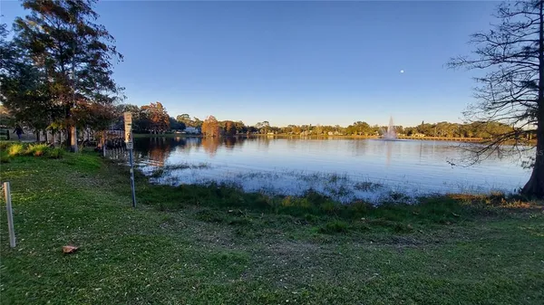 a view of a park with large trees