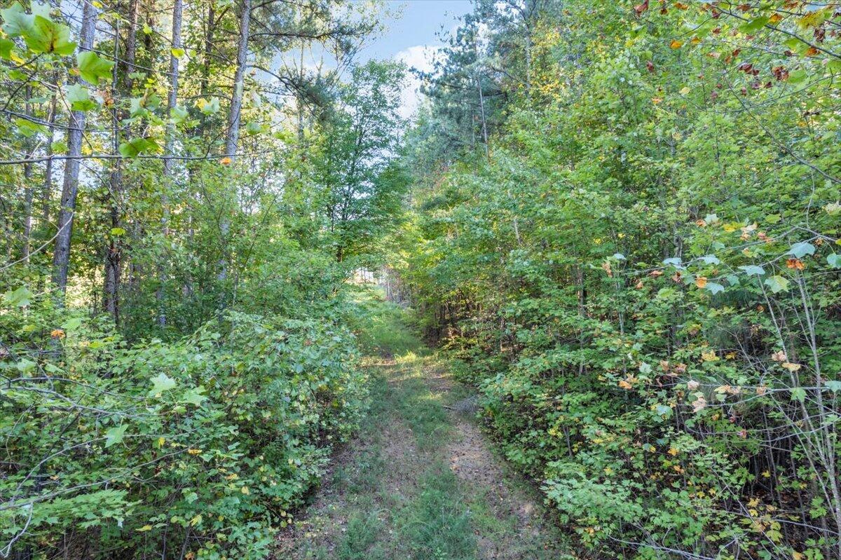0 Birds Eye Way, Unit 1102 Guild, TN 37340 - Photo 11 of 18 11-DJI_0808