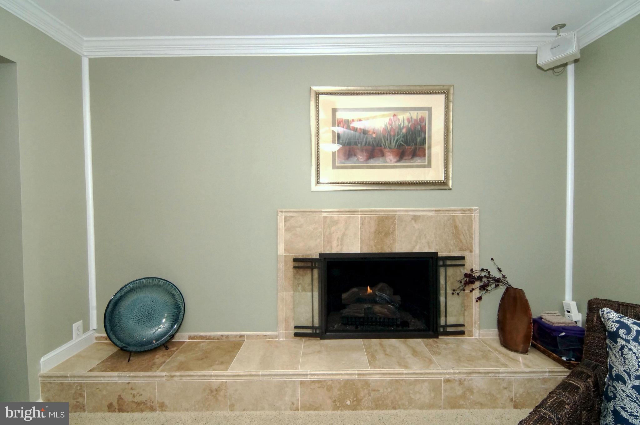 7014 Flax Street Springfield, VA 22152 - Photo 22 of 30 Family Room Gas Fireplace