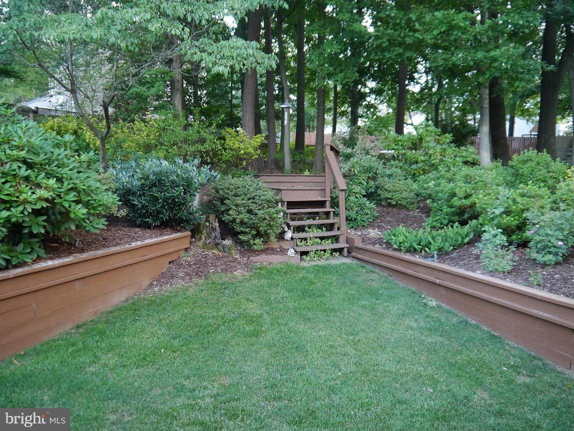 7014 Flax Street Springfield, VA 22152 - Photo 5 of 30 Exterior (Rear)