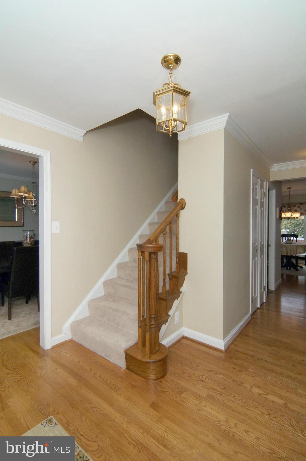 7014 Flax Street Springfield, VA 22152 - Photo 8 of 30 Interior (General)