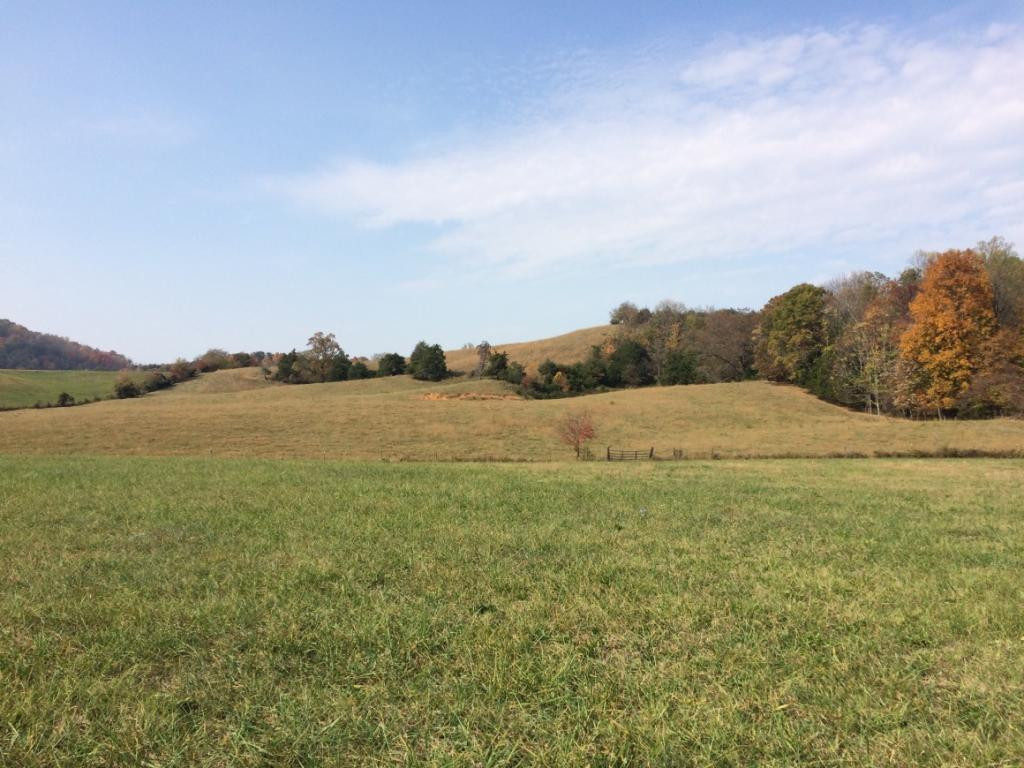 Tbd Mayberry Road Jonesborough, TN 37659 - Photo 1 of 2 Photo 1