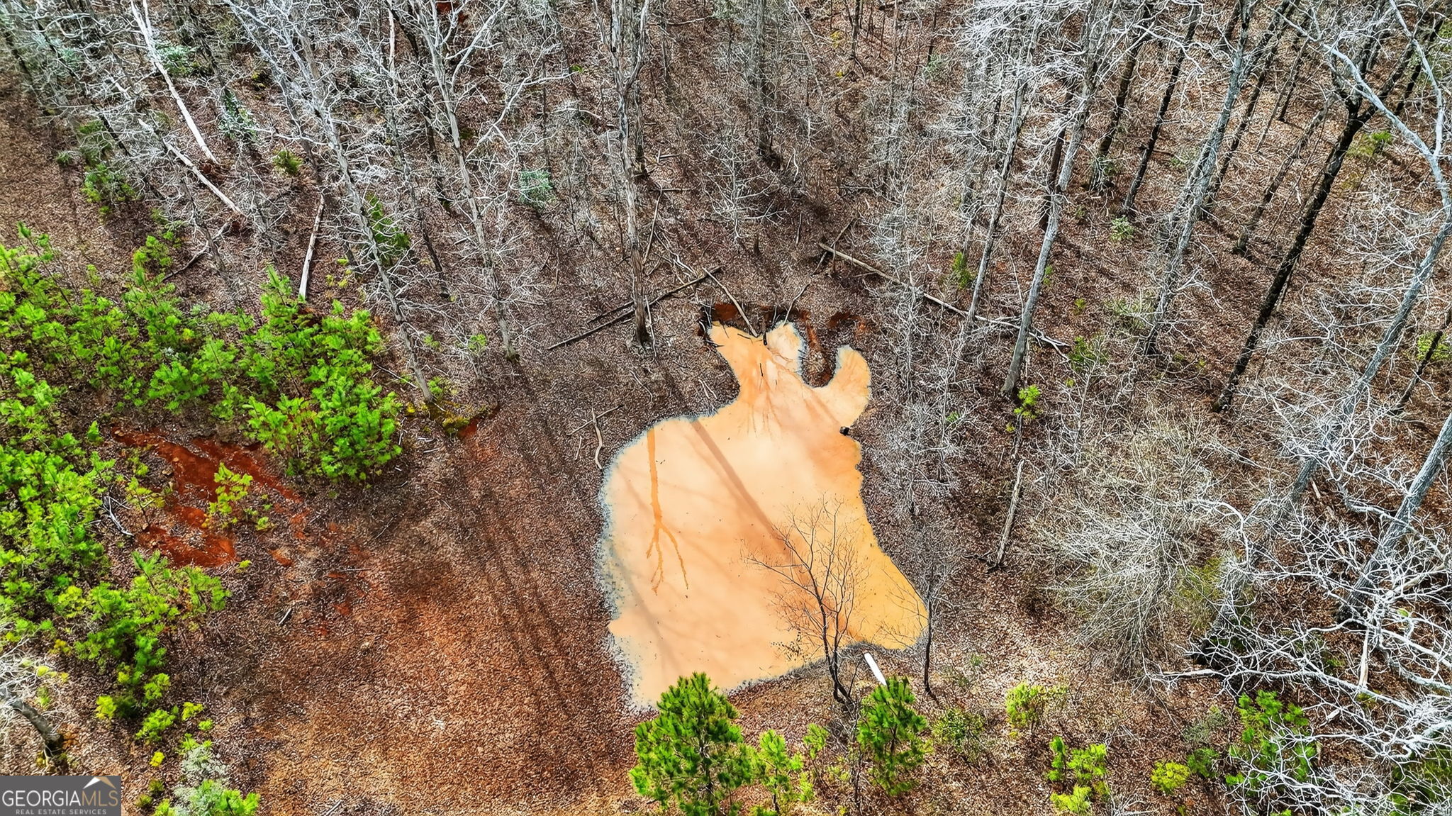 762 Highfalls Park Road Barnesville, GA 30204 - Photo 9 of 56 Gallery Image 9