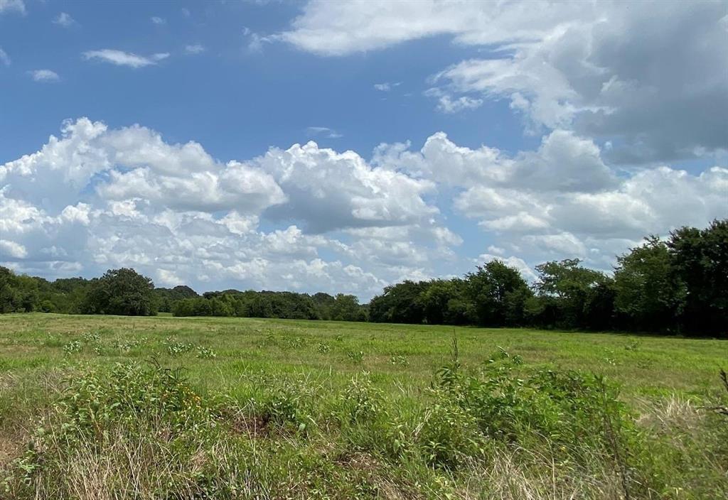 2425 County Road 2425 Como, TX 75431 - Photo 11 of 13 View of nature with rural landscape