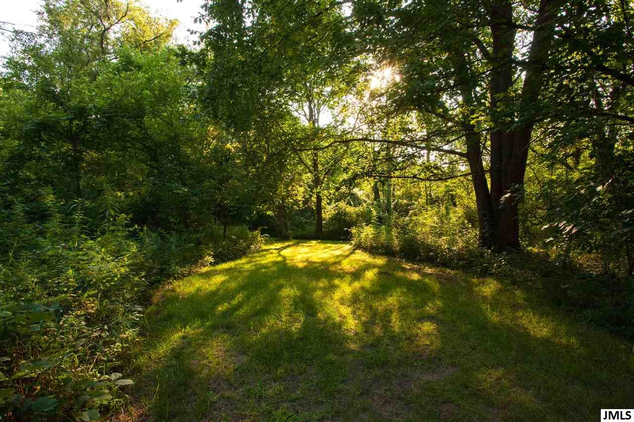 13411 Austin Road Brooklyn, MI 49230 - Photo 30 of 35 Photo 30
