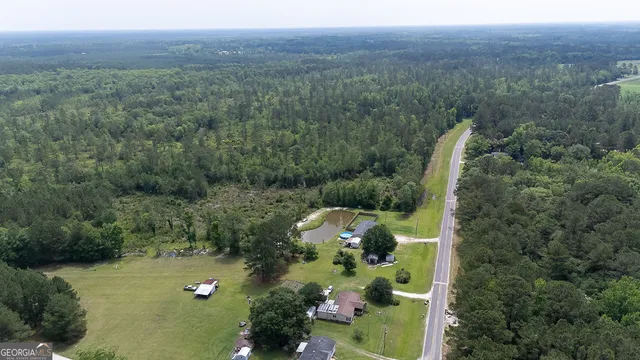 a view of a forest with a street