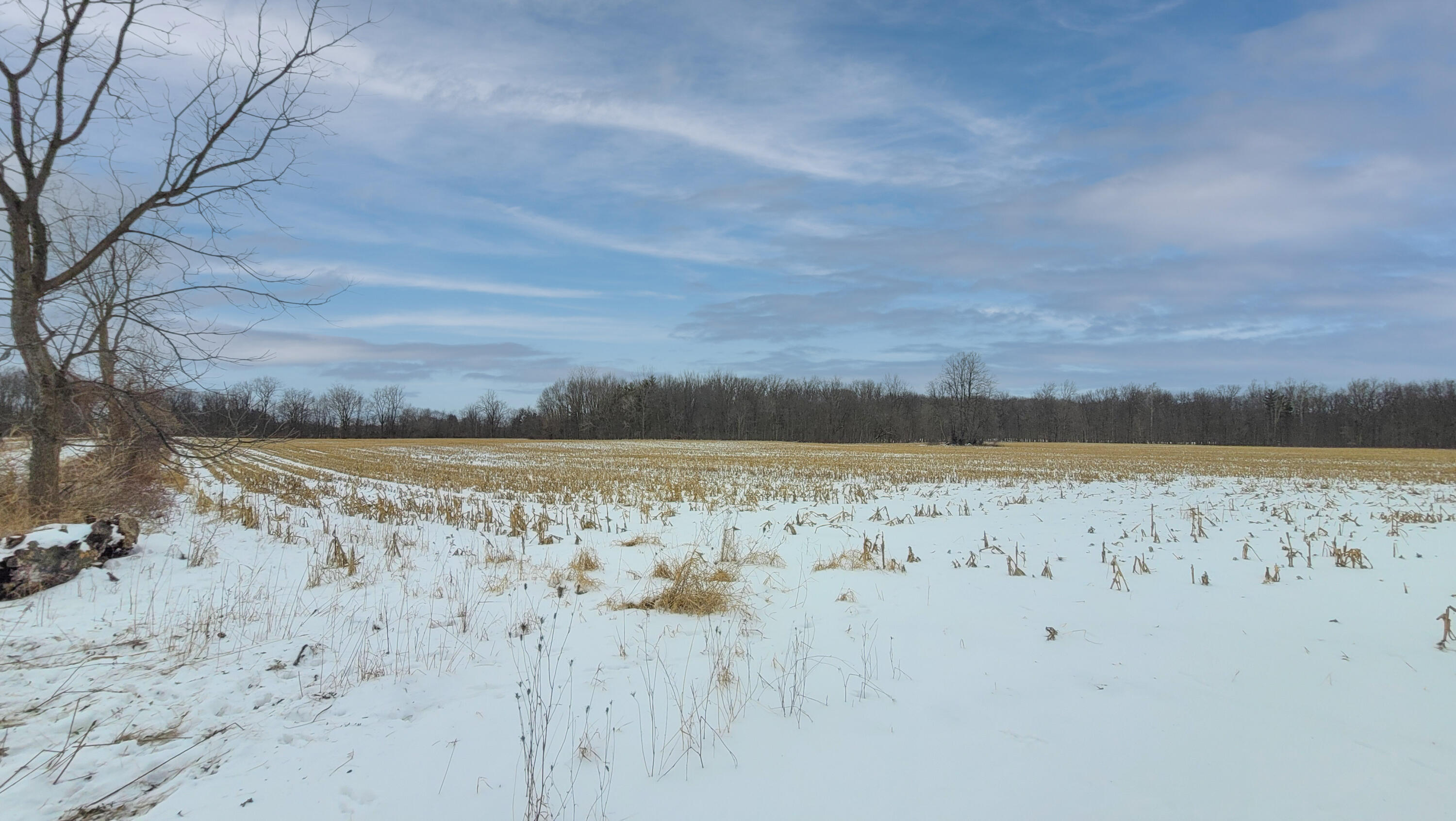368 Cranson Road Bronson, MI 49028 - Photo 16 of 23 15-11