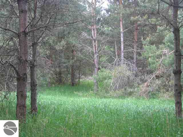 3810 Ingersoll Road Southwest Fife Lake, MI 49633 - Photo 8 of 8 1739135-7.JPG
