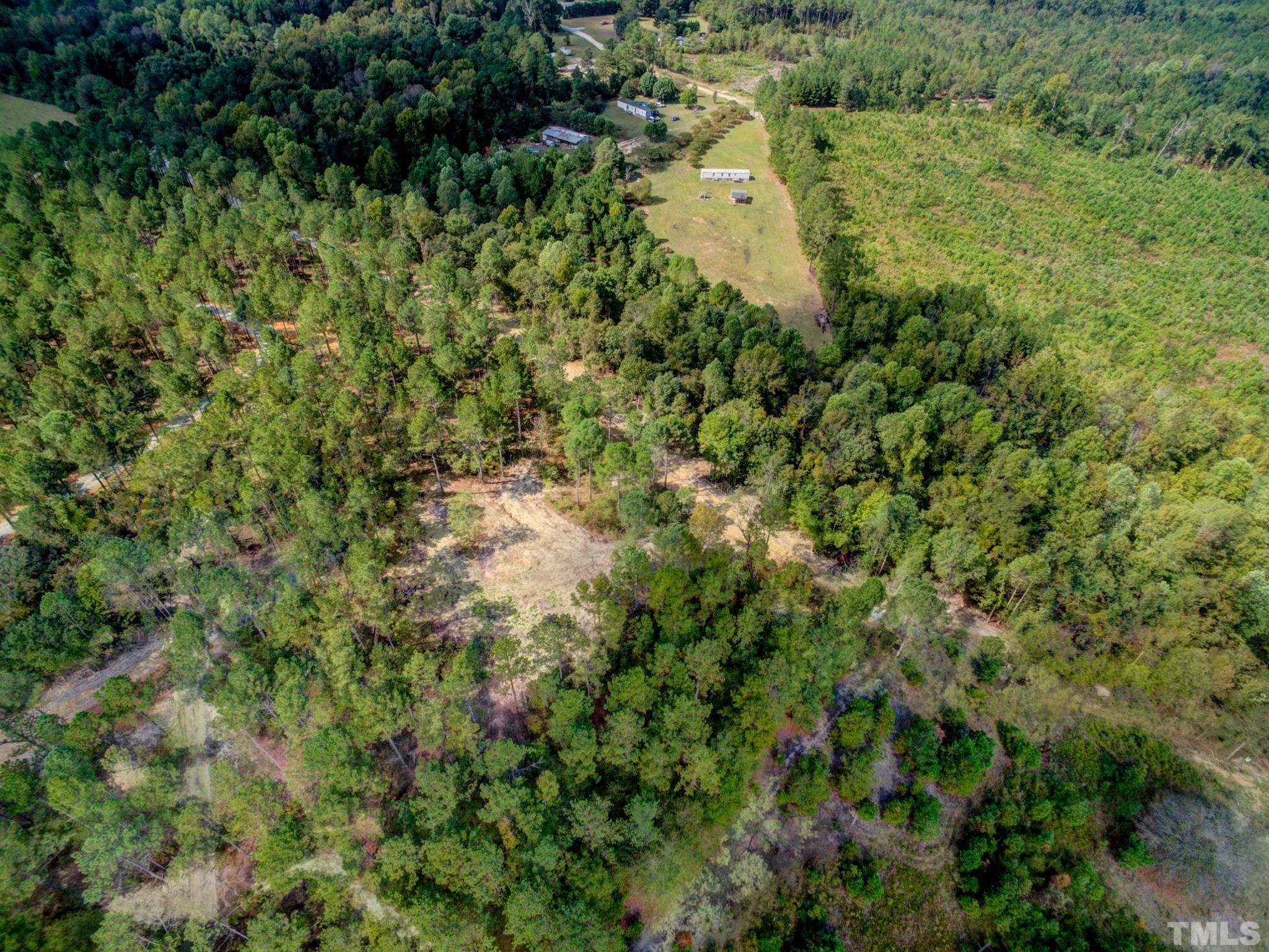 480 Whittington Road Angier, NC 27501 - Photo 14 of 20 a view of a lush green forest with lots of trees