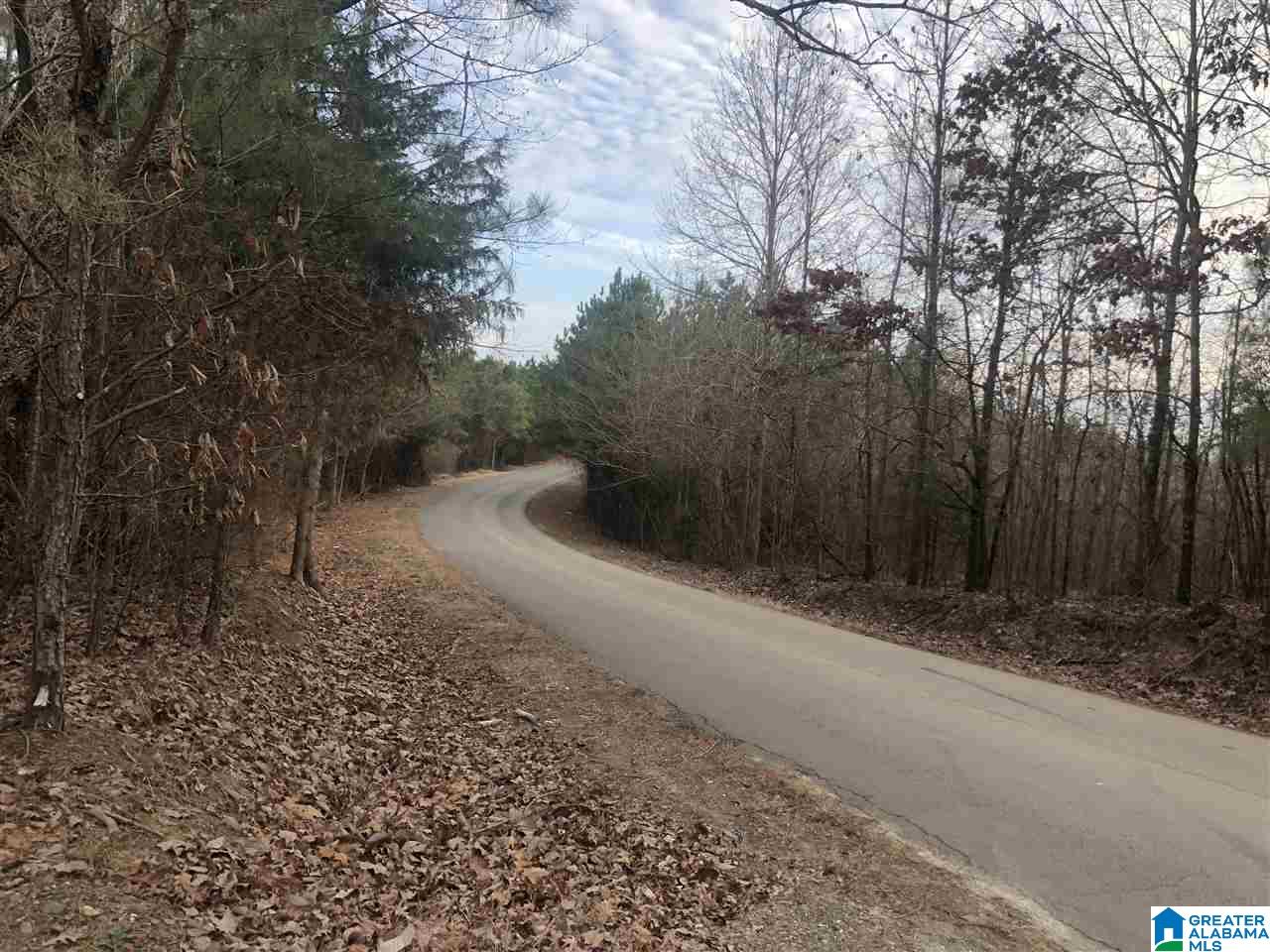 Slick Lizzard Road, Unit 1 Nauvoo, AL 35578 - Photo 7 of 8