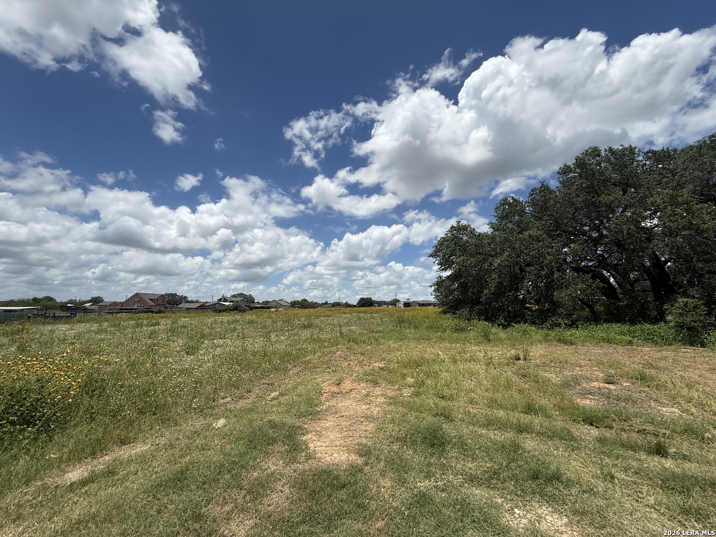 3061 Horse Ranch Road San Antonio, TX 78264 - Photo 31 of 34 a view of a big yard with lots of green space