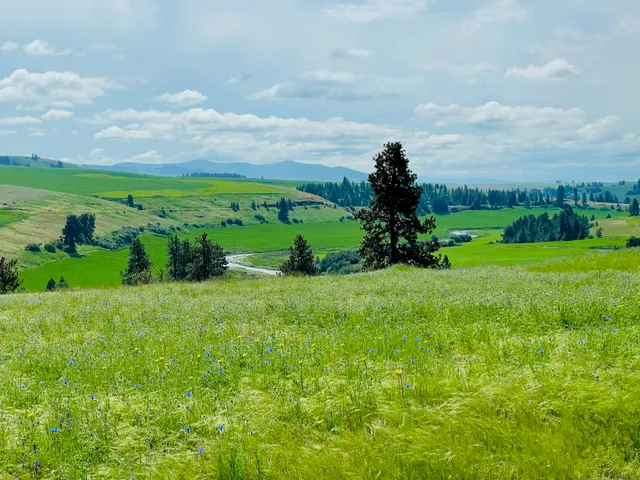 $299,000 | 11900 East Hays Road, Unit LOT A PARCEL 9030, Fairfield, WA 99012