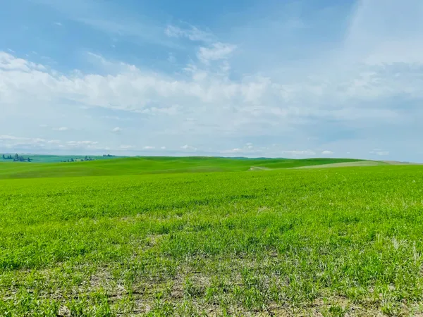 $299,000 | 11900 East Hays Road, Unit LOT A PARCEL 9030, Fairfield, WA 99012