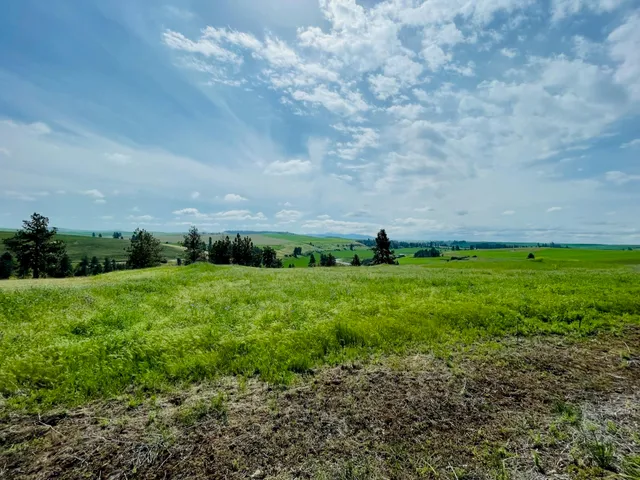 $299,000 | 11900 East Hays Road, Unit LOT A PARCEL 9030, Fairfield, WA 99012