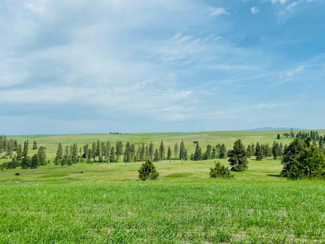 $299,000 | 11900 East Hays Road, Unit LOT A PARCEL 9030, Fairfield, WA 99012