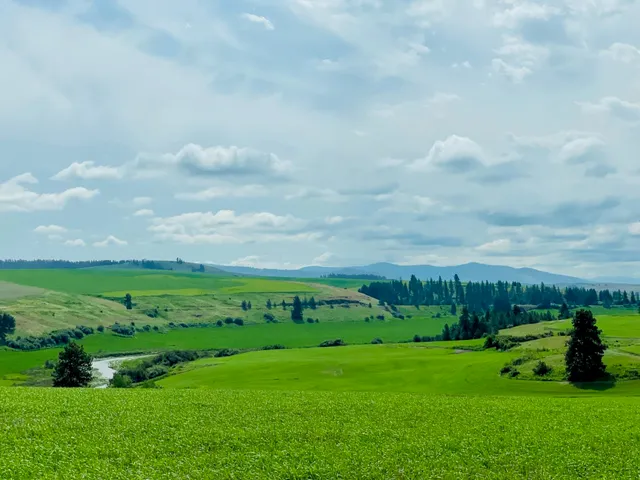 $299,000 | 11900 East Hays Road, Unit LOT A PARCEL 9030, Fairfield, WA 99012