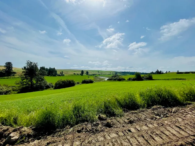 $299,000 | 11900 East Hays Road, Unit LOT A PARCEL 9030, Fairfield, WA 99012