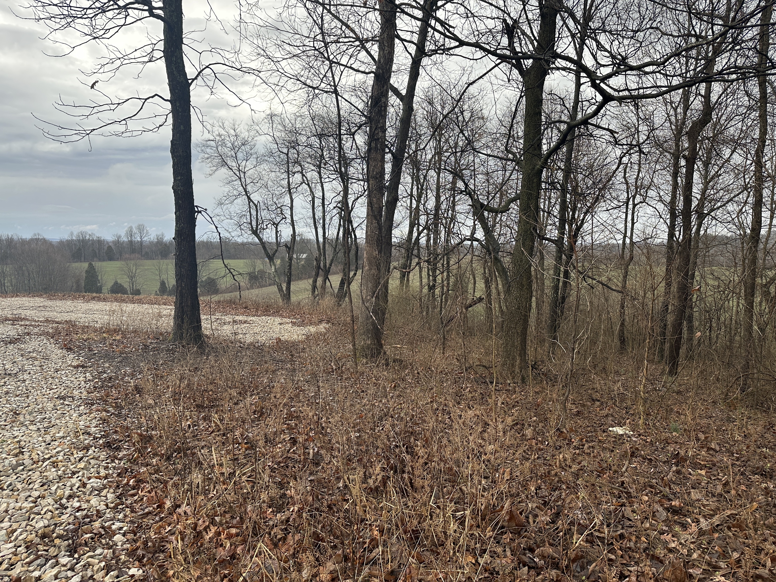 0 Sinclair West Road Eckerty, IN 47116 - Photo 18 of 47
