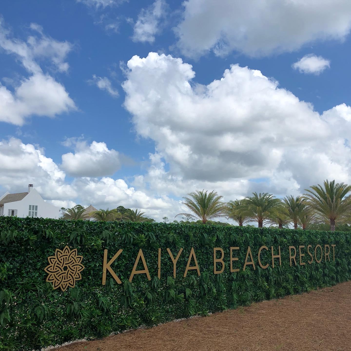 Tbd Tbd Catnap Alley Inlet Beach, Unit M 4 Inlet Beach, FL 32461 - Photo 11 of 11 a view of a bunch of trees and sky