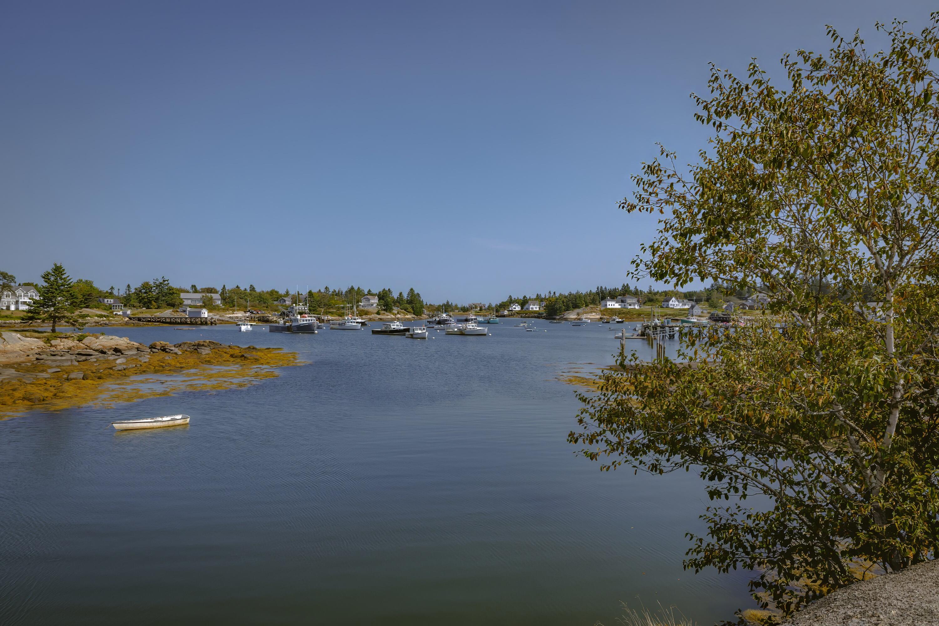 13 Francis Pound Road Corea, ME 04624 - Photo 62 of 81 56-13 Francis Pound Road HiRes-DTP