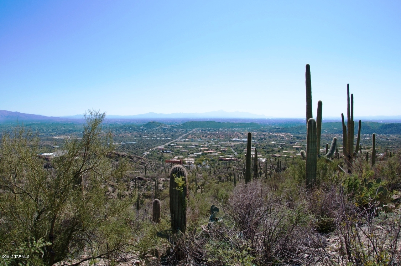 6444 North Rattlesnake Canyon Road, Unit 6 Tucson, AZ 85750 - Photo 6 of 20