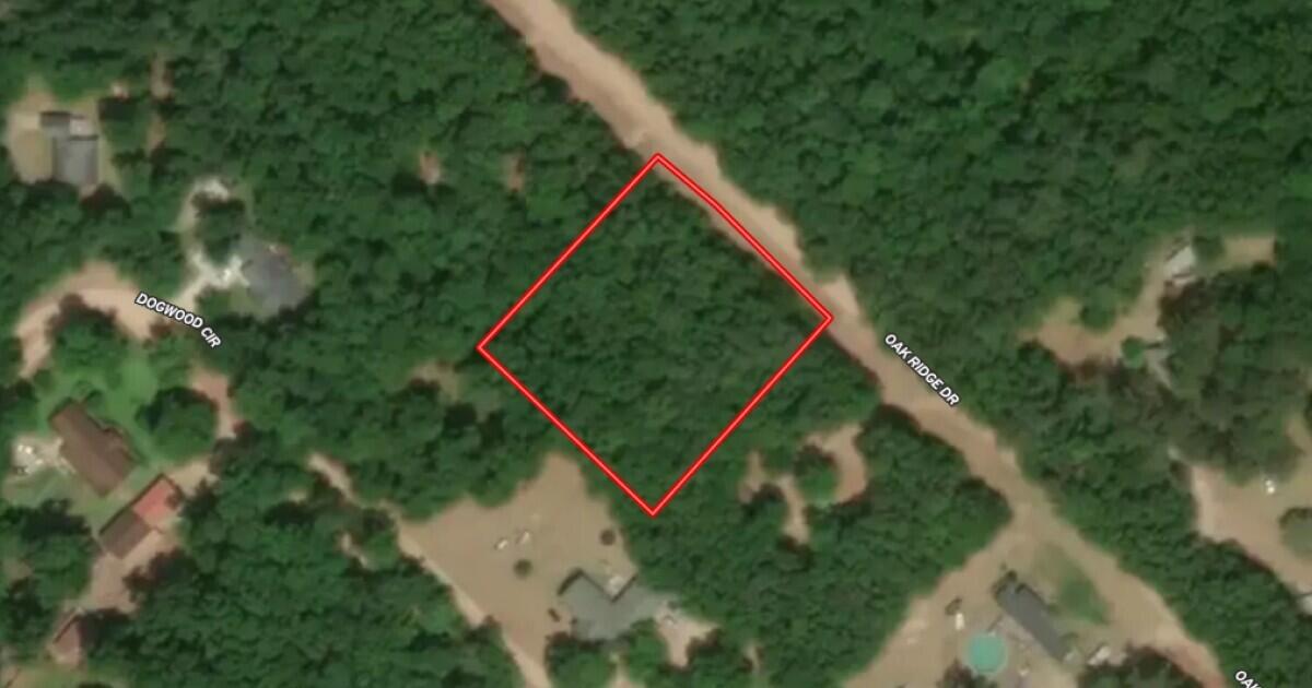 0 Oak Ridge Drive Summerton, SC 29148 - Photo 1 of 1 1679 Terrain