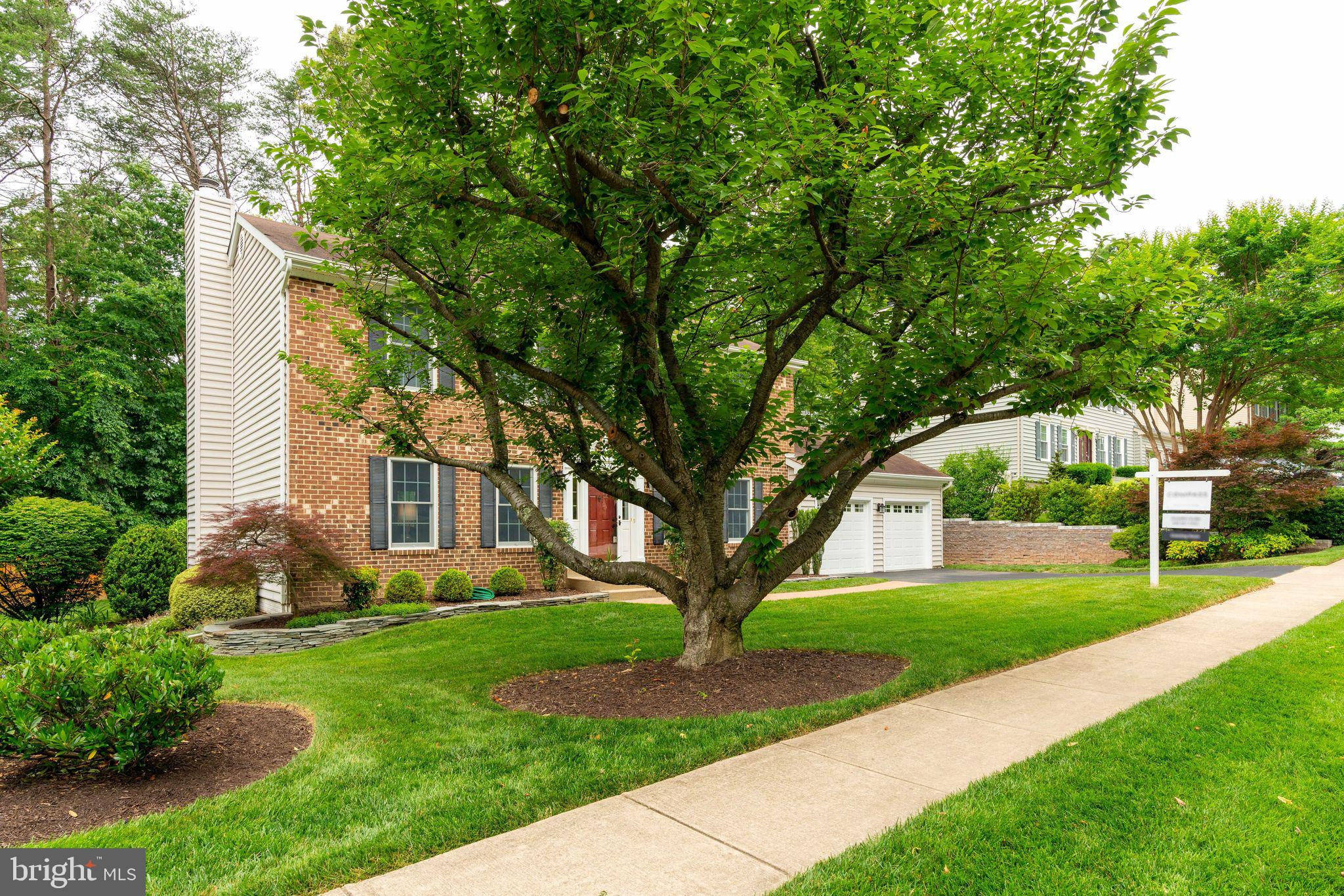 7314 Scarborough Street Springfield, VA 22153 - Photo 4 of 76