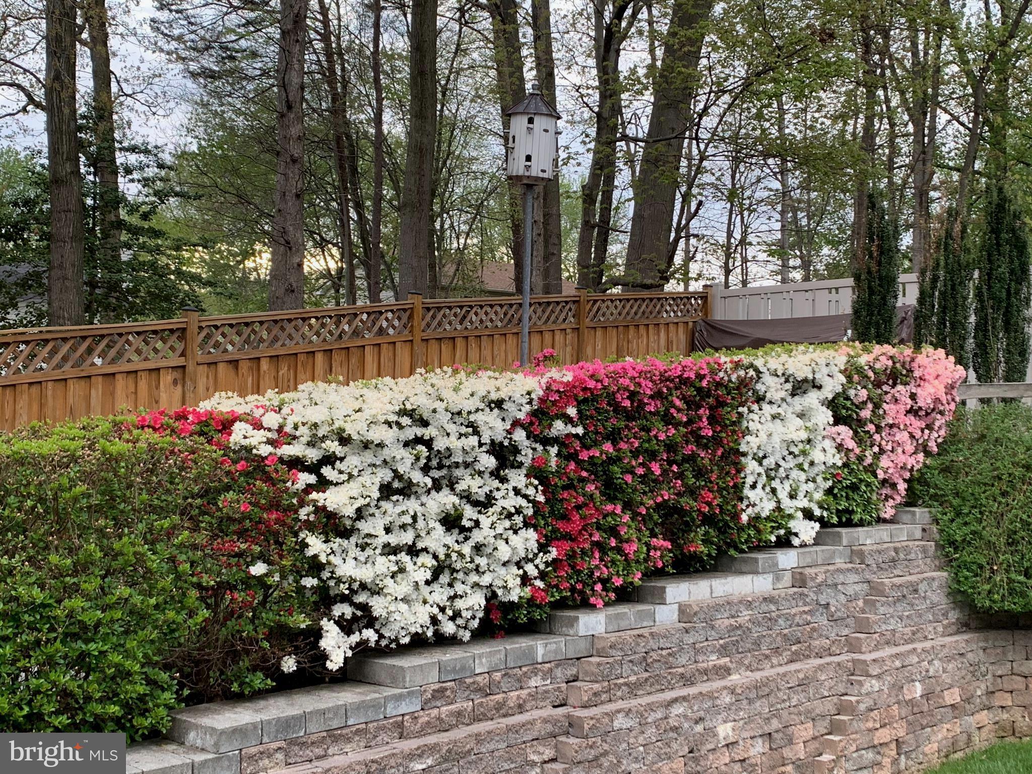 7314 Scarborough Street Springfield, VA 22153 - Photo 74 of 76