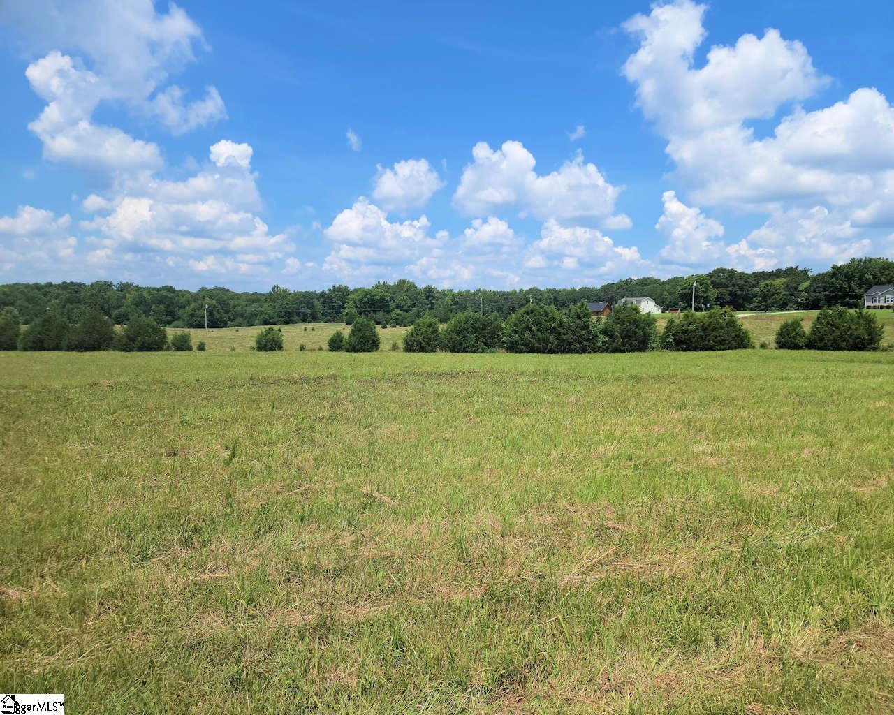 Harmony Road Ware Shoals, SC 29692 - Photo 8 of 13