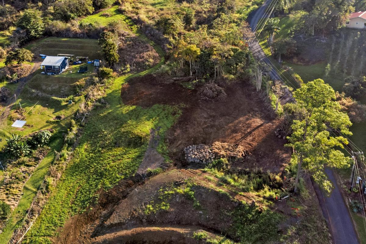 76-1015 Lot 2-a-2 Waiono Ranch Road Holualoa, HI 96725 - Photo 20 of 28 a picture of flowers