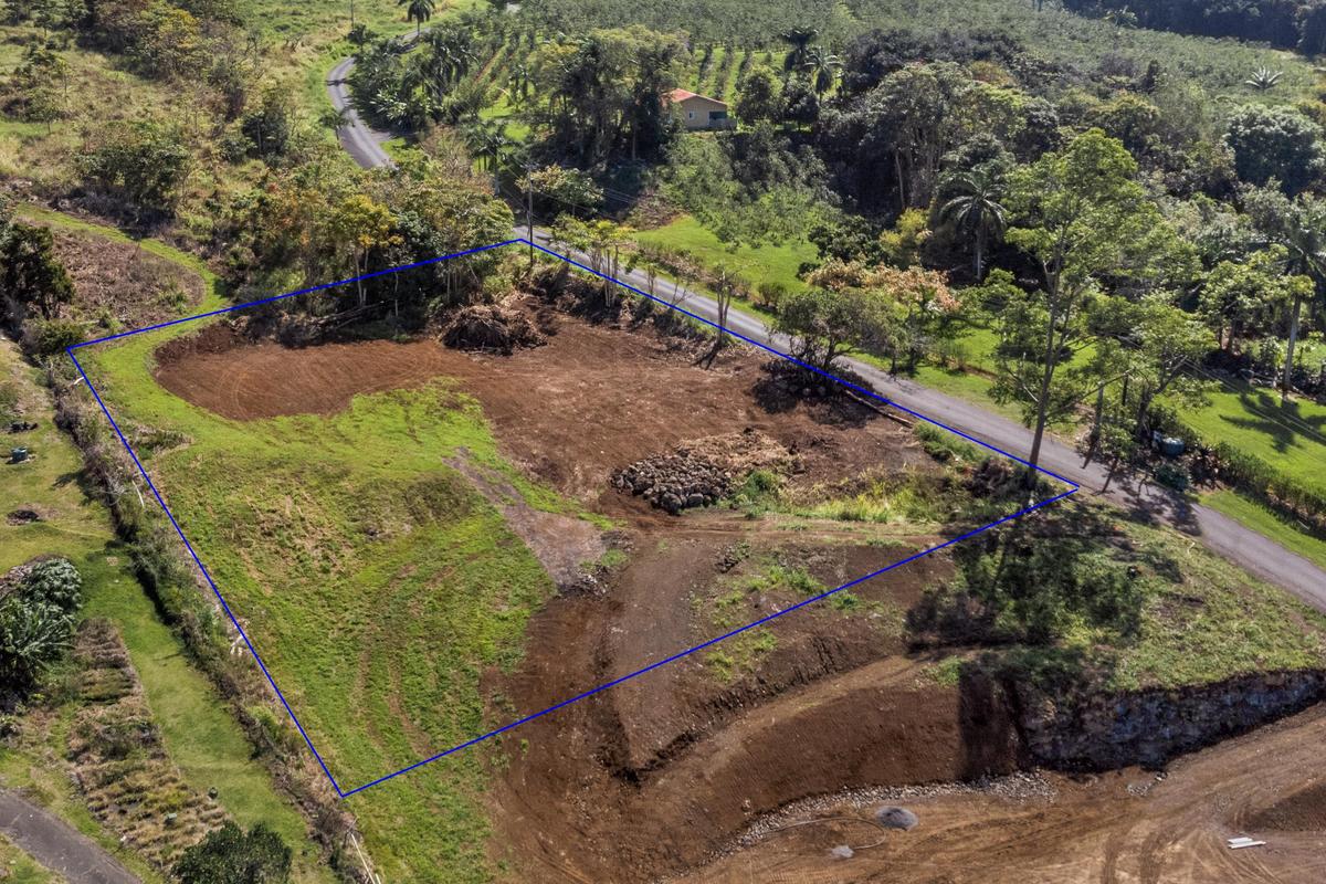 76-1015 Lot 2-a-2 Waiono Ranch Road Holualoa, HI 96725 - Photo 4 of 28 a view of a garden with plants