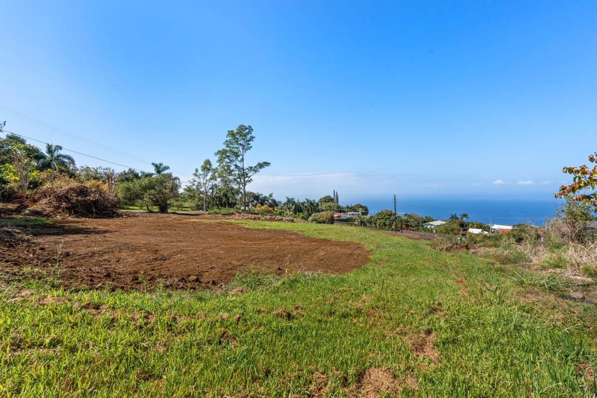 76-1015 Lot 2-a-2 Waiono Ranch Road Holualoa, HI 96725 - Photo 8 of 28 a view of a field with an ocean