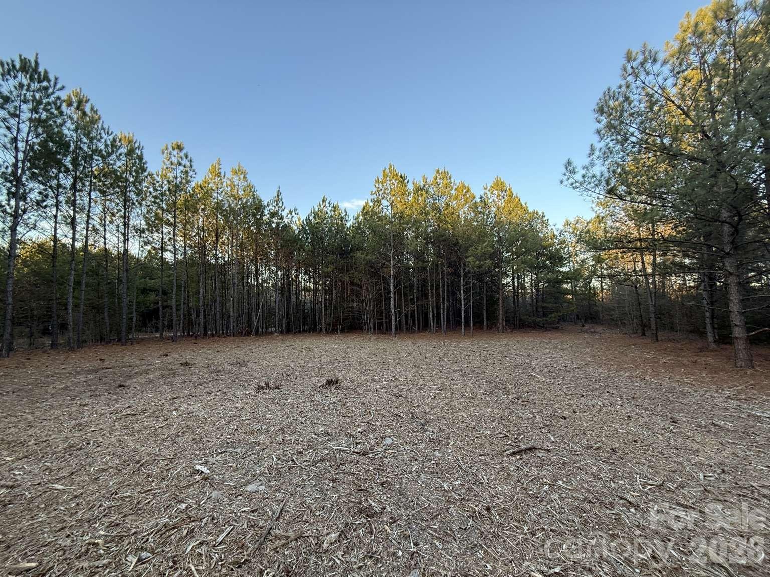 0 Steen Road Mount Croghan, SC 29727 - Photo 15 of 19 a view of backyard with green space