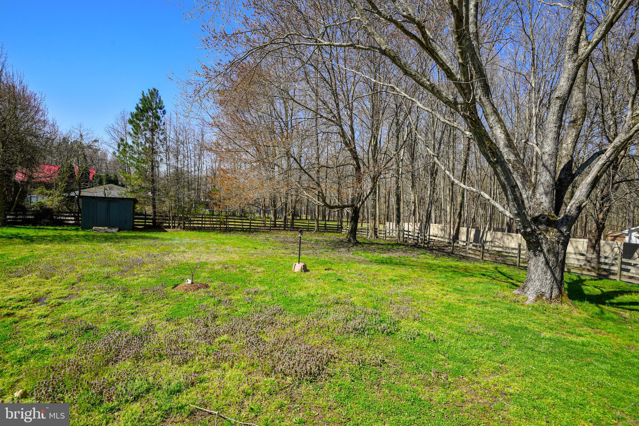 845 Broadwater Road Churchton, MD 20733 - Photo 35 of 48 Great Views from Your Own Backyard