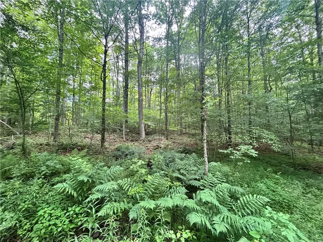 $19,990 | County Highway, Unadilla, NY 13849