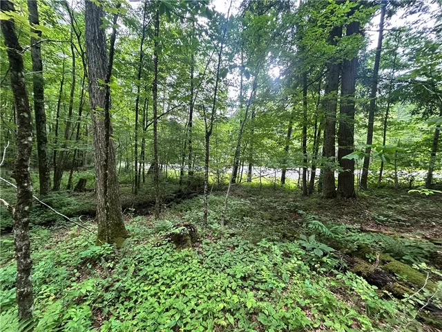 $19,990 | County Highway, Unadilla, NY 13849