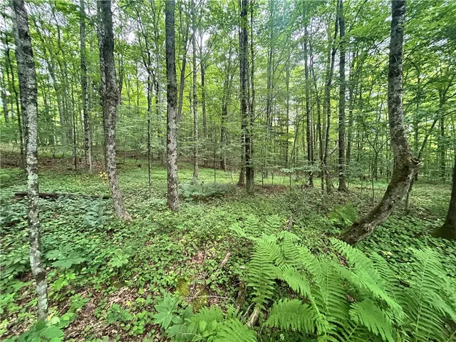 $19,990 | County Highway, Unadilla, NY 13849