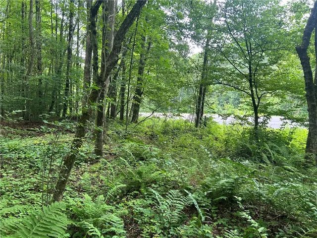 $19,990 | County Highway, Unadilla, NY 13849