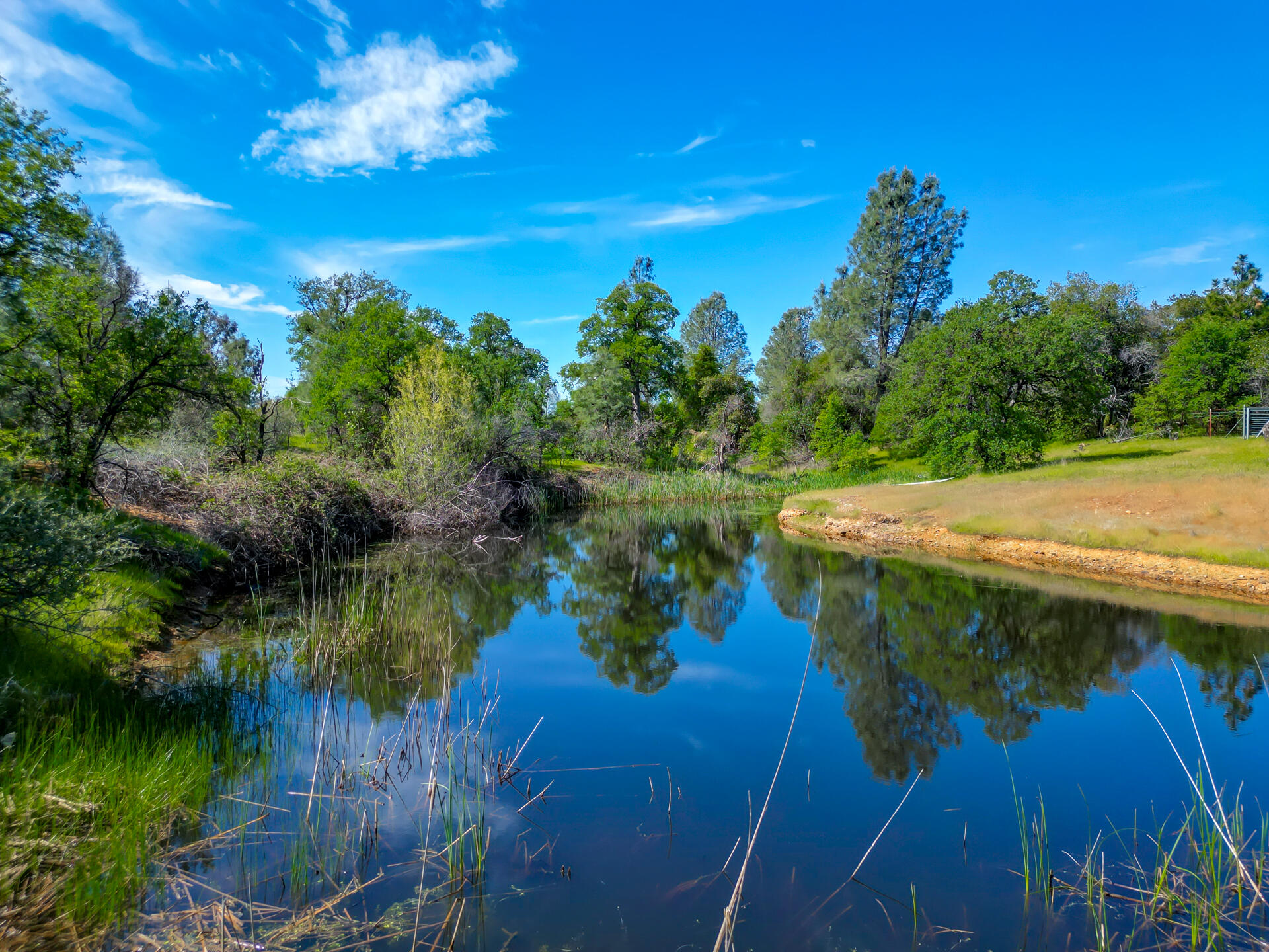5110 Chestnut Street Anderson, CA 96007 - Photo 17 of 65 5110ChestnutStreet-drone-7