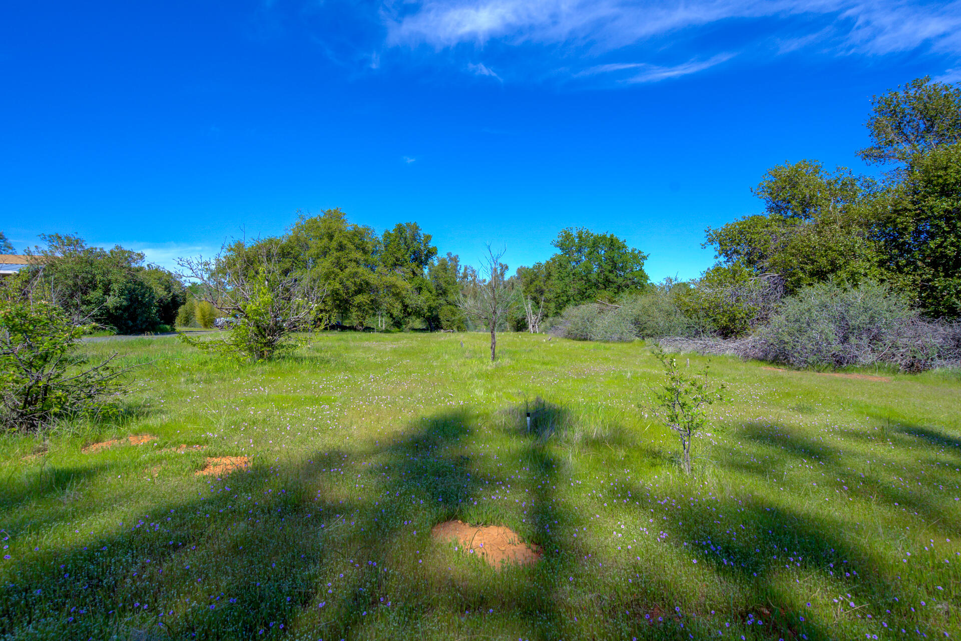 5110 Chestnut Street Anderson, CA 96007 - Photo 23 of 65 5110ChestnutStreet-46