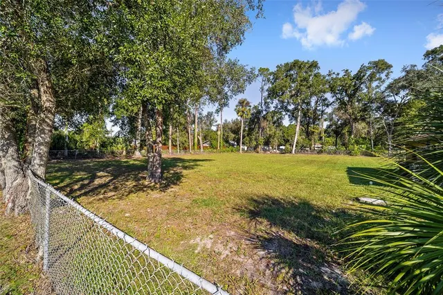 a view of a park with large trees