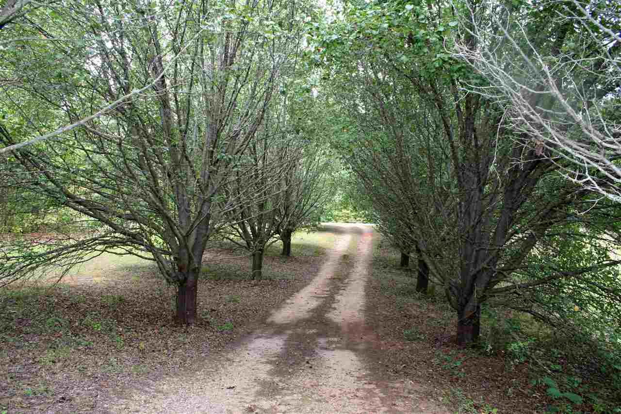 220 A Ridings Road Campobello, SC 29322 - Photo 25 of 25