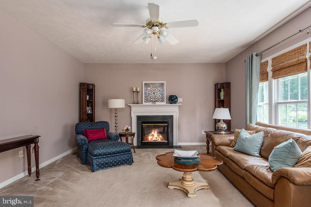 9052 Mullen Road King George, VA 22485 - Photo 11 of 71 gas fireplace