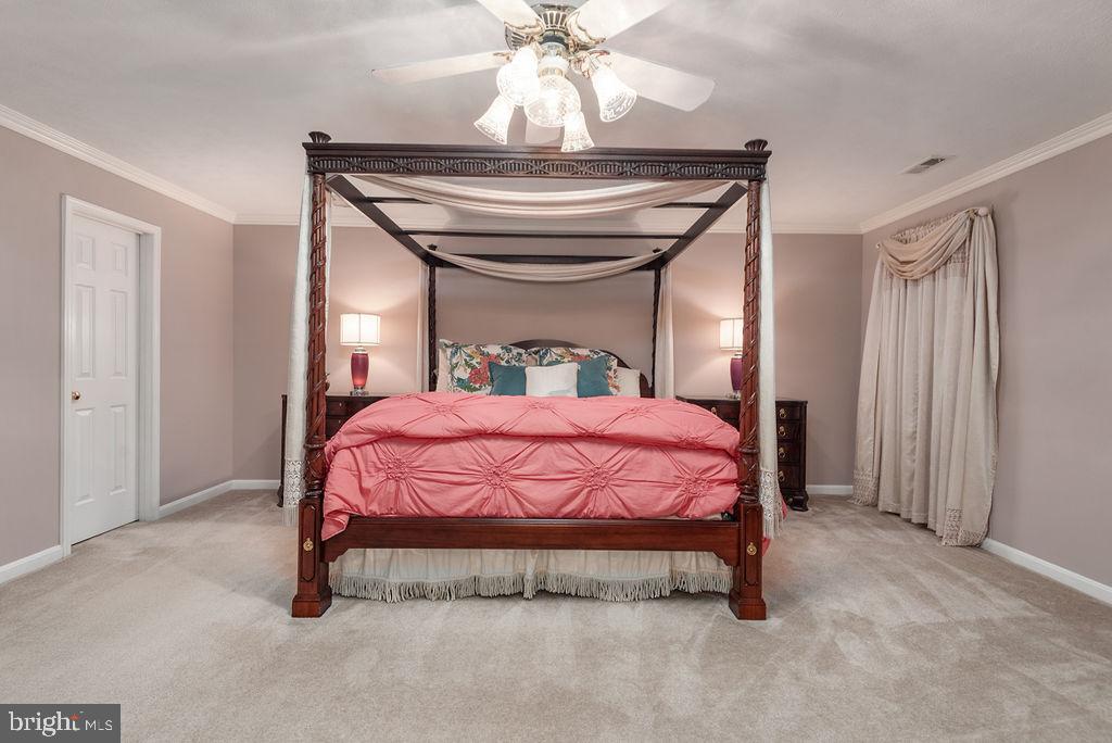 9052 Mullen Road King George, VA 22485 - Photo 24 of 71 master suite