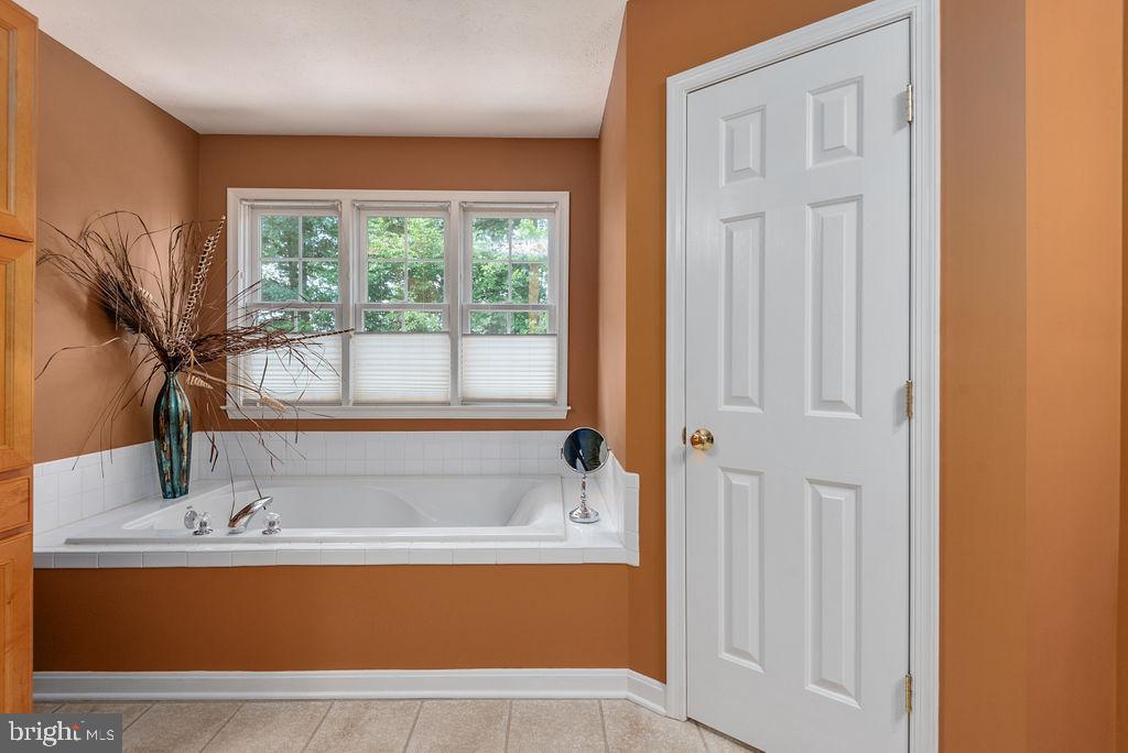 9052 Mullen Road King George, VA 22485 - Photo 29 of 71 master bath with soaking tub