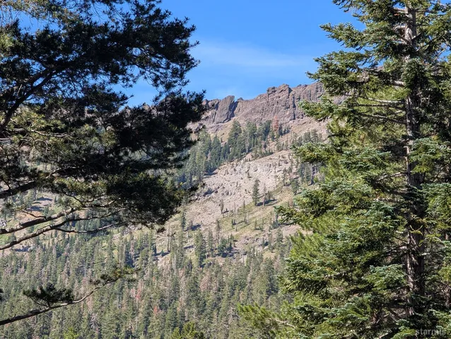 a view of a covered with large trees
