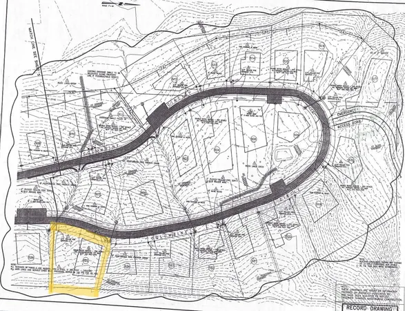 en swimming pool with a garden and plants